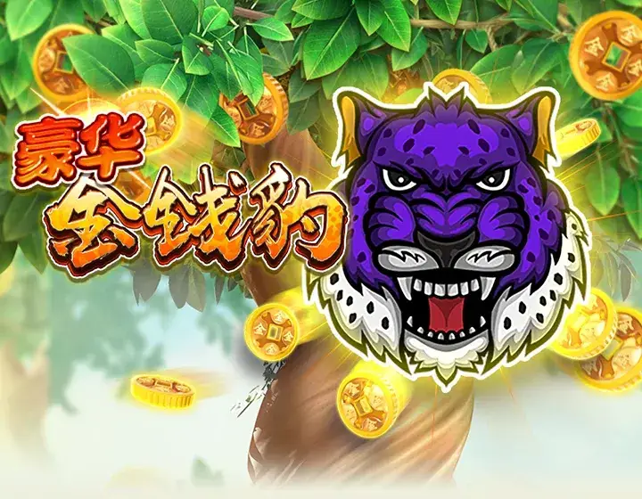 豪华金钱豹