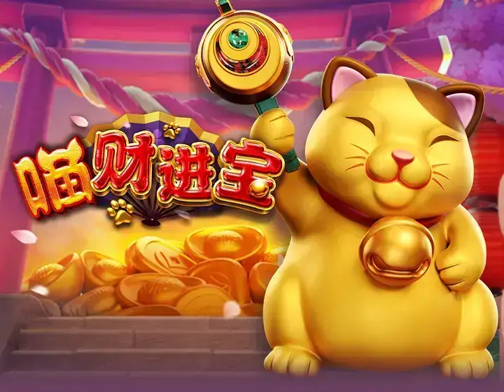 喵财进宝